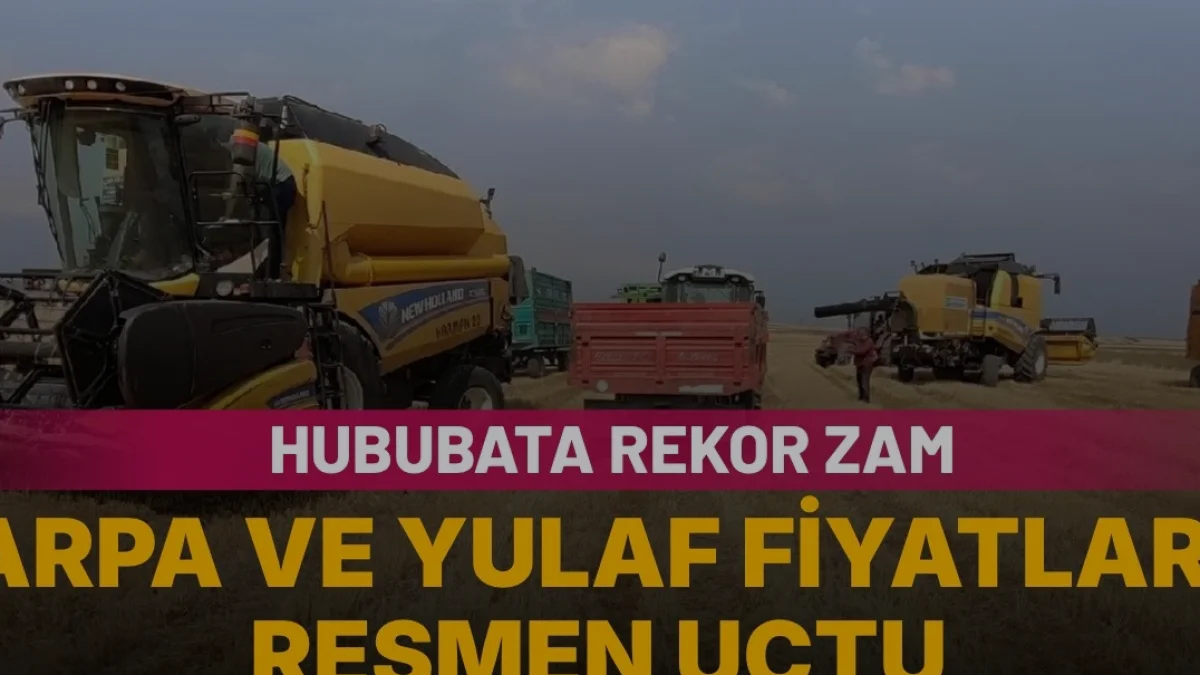Hububat Piyasasında Hareketlilik Sürüyor Arpa Fiyatları Zirvede